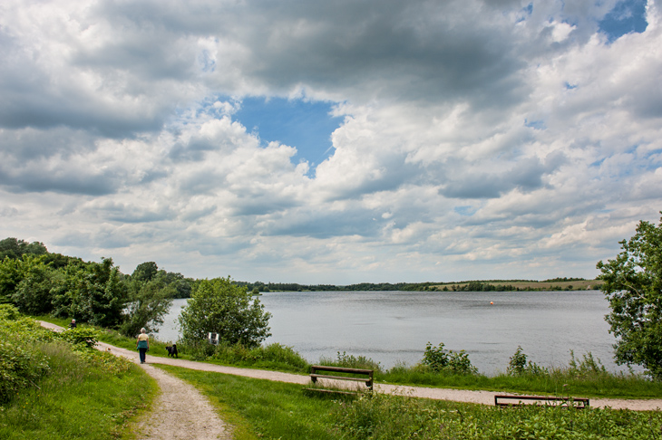 Pennington Flash